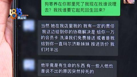 宠物狗寄养期间突然死了，主人哭得伤心