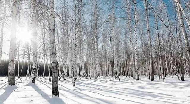 光影里的白山 |《雪暴》