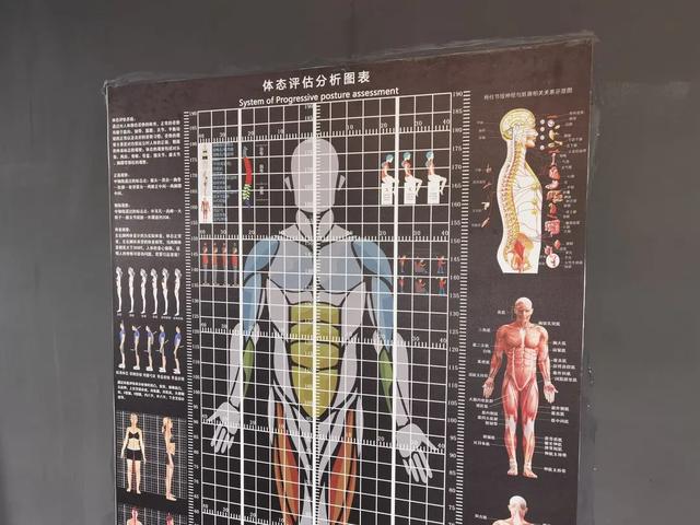 节后掀起“健身热”，运动健身需科学丨爱申活暖心春