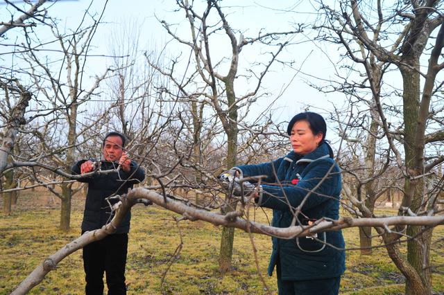 河南宁陵：春耕春管正当时 科技助力忙生产