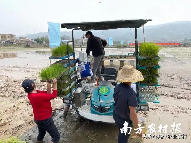 农机轰鸣，农资下乡！广东物资供应充足备春耕