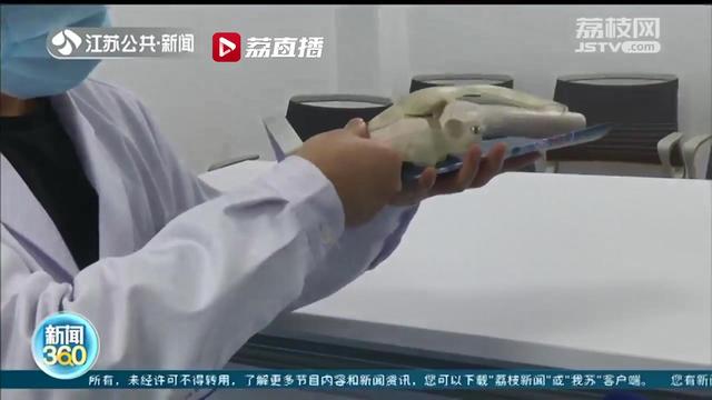 安全健康地体验冰雪运动带来的快乐 骨科医生给你支招