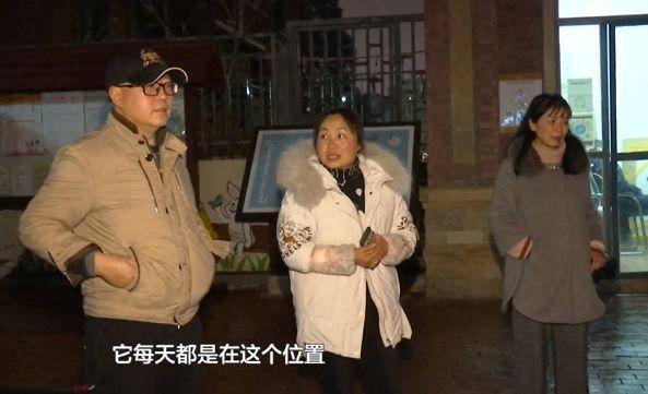 贵阳的忠犬八公，风雪中等待主人！小区居民们都心疼坏了