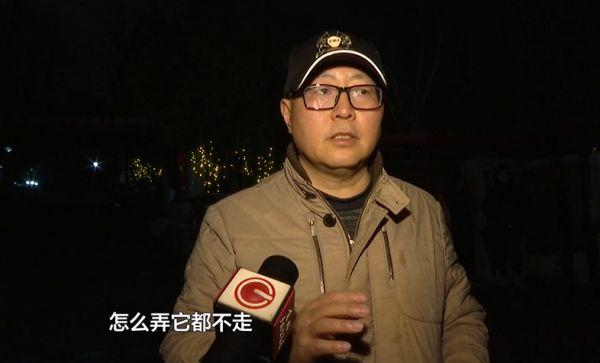 贵阳的忠犬八公，风雪中等待主人！小区居民们都心疼坏了