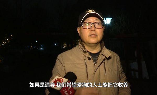 贵阳的忠犬八公，风雪中等待主人！小区居民们都心疼坏了