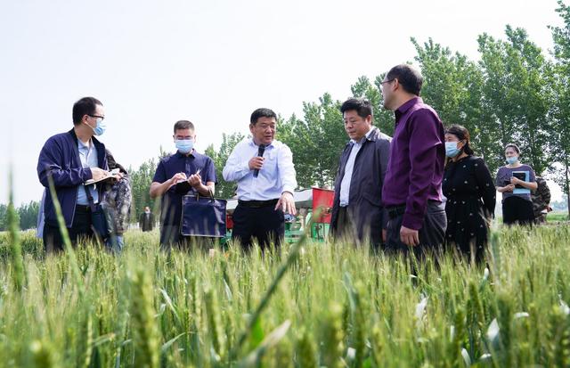 高清大片！看德州如何创建全国首个“吨半粮”示范区