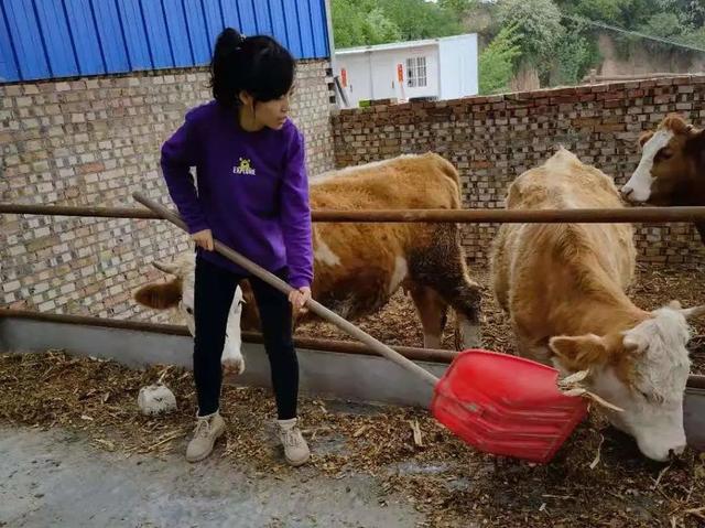 乡村振兴 | 黄龙90后女村干部：“我要带领家乡人致富增收”