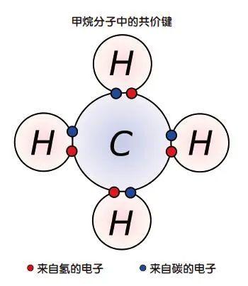 千奇百怪的化学键