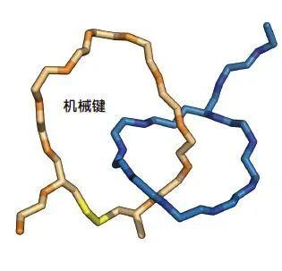 千奇百怪的化学键