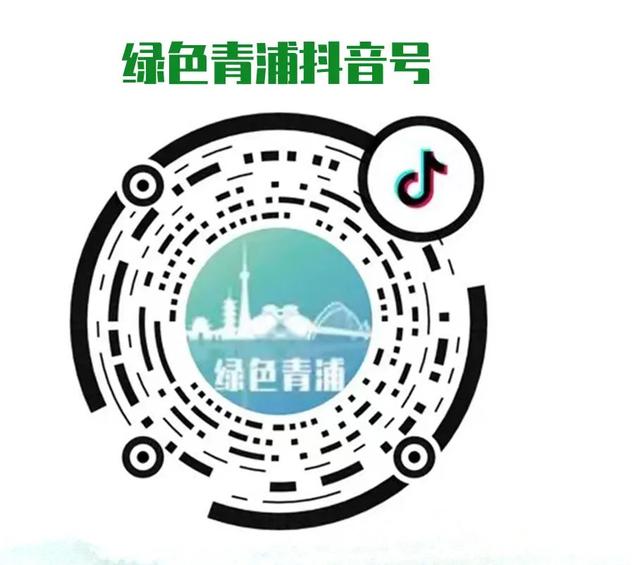 硬核科技！青浦这家企业带您“飞临”探秘北京2022年冬奥会