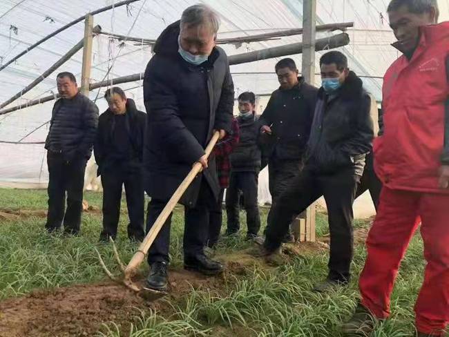 济南大学的农学专家来到了俺家地头