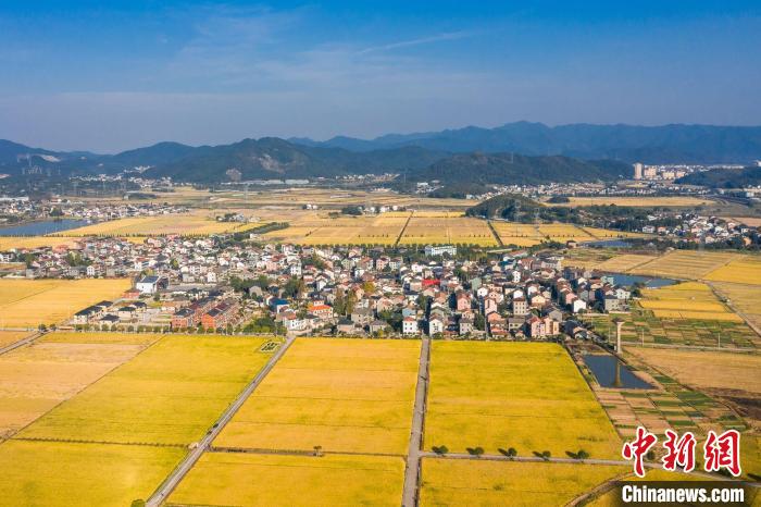 浙江未来乡村试点村：千顷良田绘制七彩画卷