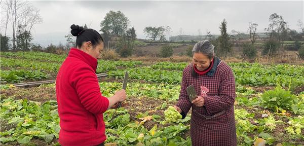 邓刚：助农增收 做农村致富带头人