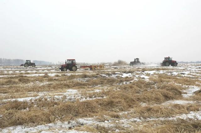 磐石朝阳山镇：推进水稻秸秆离田，为秸秆寻找更好“出路”