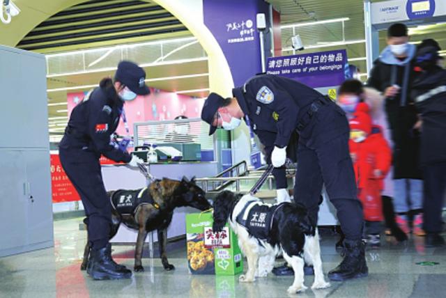 「新春走基层」太原地铁警犬上岗巡逻