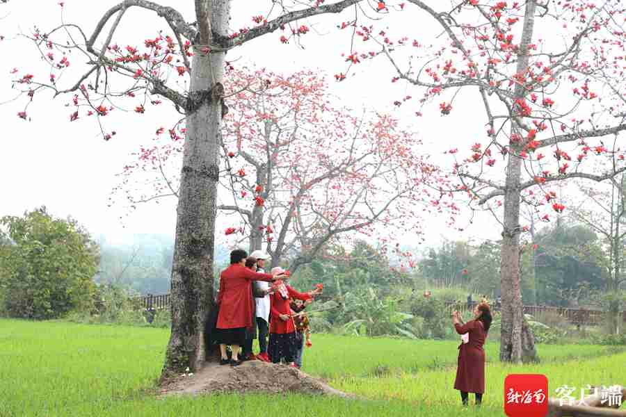 昌江叉河镇排岸村：让村民在家门口吃上旅游饭