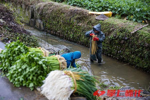 新春走基层 | 这个年，过得忙碌却很幸福！——洪江区桂花园乡村民的别样春节