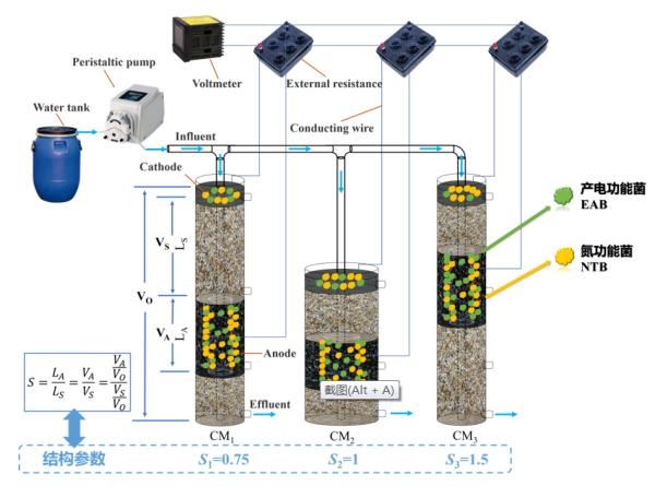 人工湿地-微生物燃料电池原位监测技术研究获进展