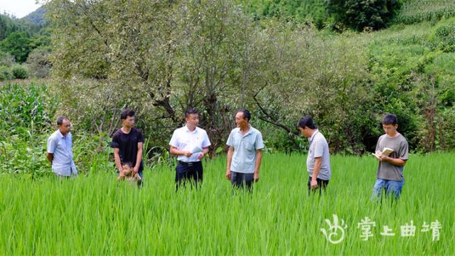 五龙乡牛尾村：党建+“五好建设”走出乡村振兴好路子