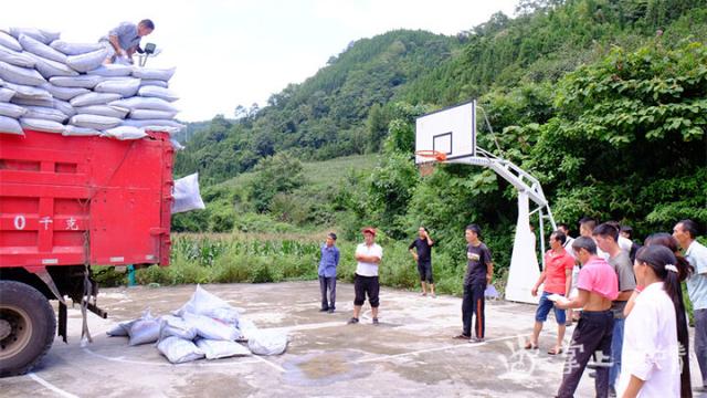 五龙乡牛尾村：党建+“五好建设”走出乡村振兴好路子