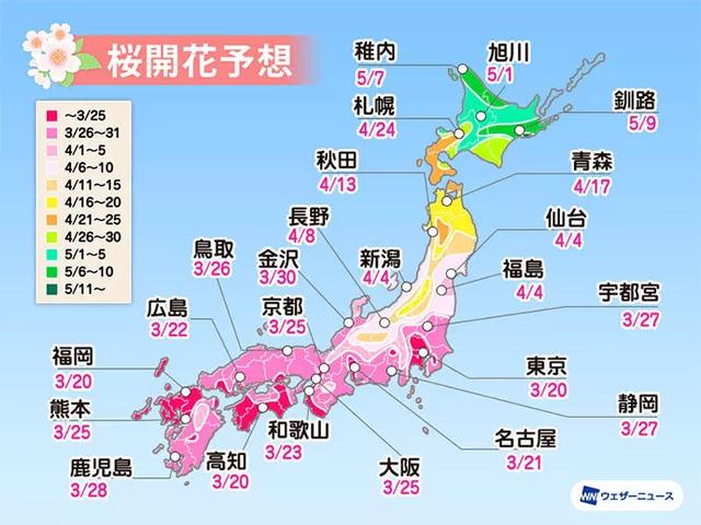 这份又美又实用的赏花地图，哪个城市不想拥有