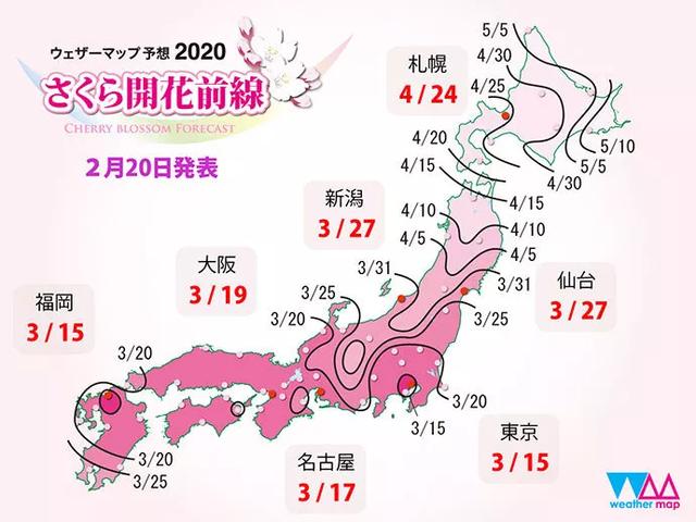 这份又美又实用的赏花地图，哪个城市不想拥有