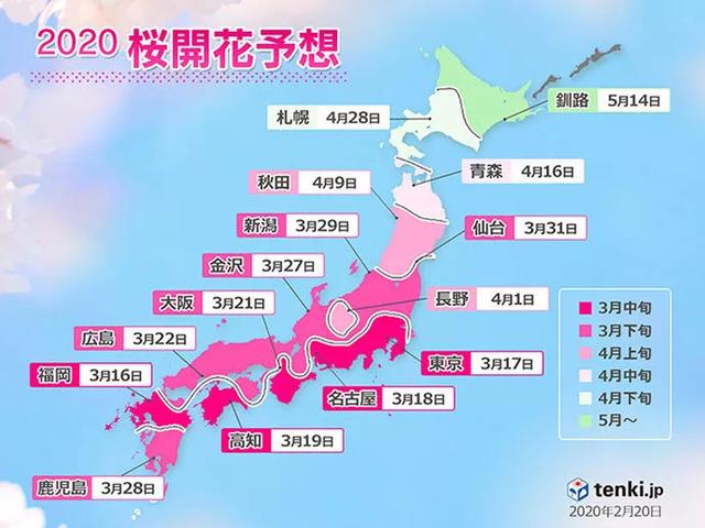 这份又美又实用的赏花地图，哪个城市不想拥有