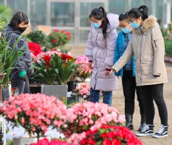 齐齐哈尔市建华区：深耕花卉产业 助力乡村振兴