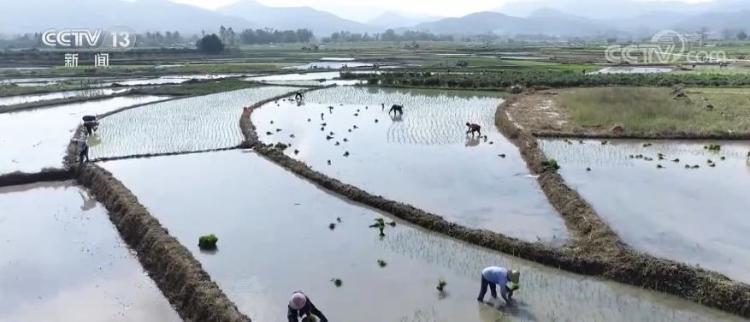 农时不等人 各地抓紧春耕备耕确保粮食耕种面积只增不减