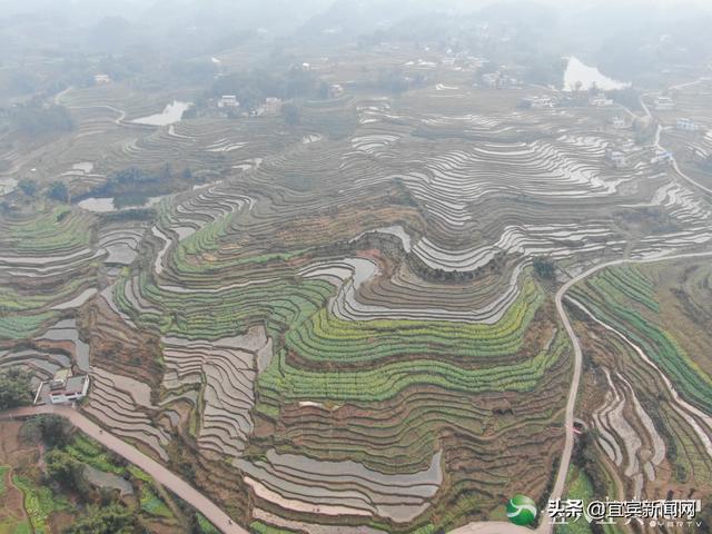 播下希望：一年更比一年好