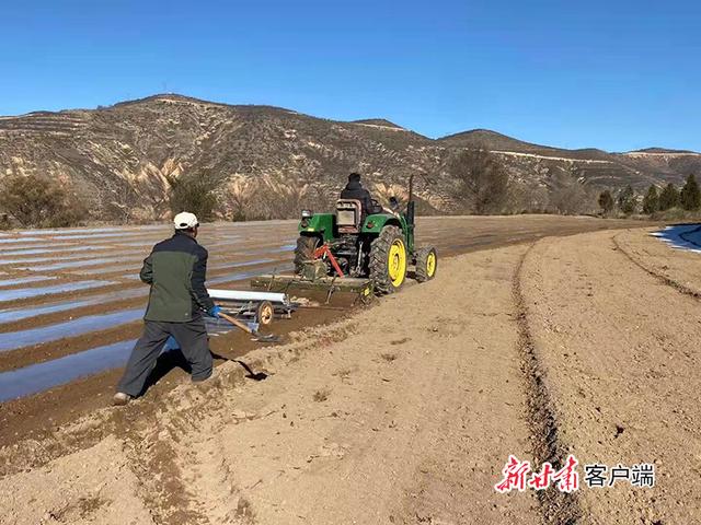 「新春走基层」千余亩撂荒地变“淘金田”