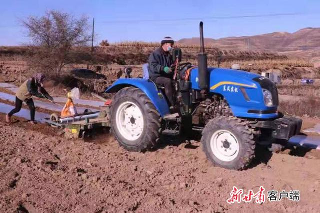 「新春走基层」千余亩撂荒地变“淘金田”