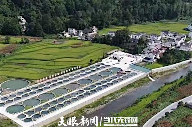 乡村振兴动力足！珠海遵义携手推动农业产业规模化