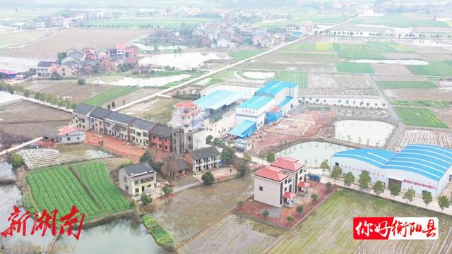 欢度元宵 衡阳县“九市稻草龙”走村串户闹元宵 祈丰年