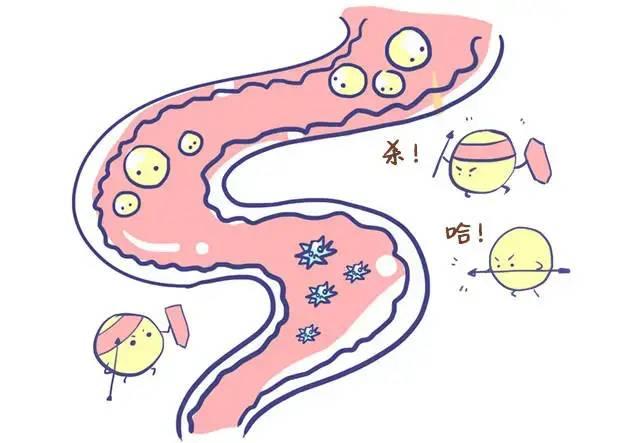 从人类饮食文化，揭秘熟普洱对身体的影响...