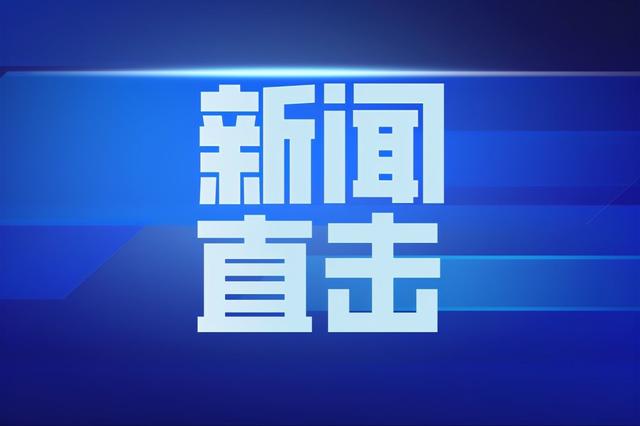 危险又扰民！多方联动处置“请走”流浪狗 消除安全隐患