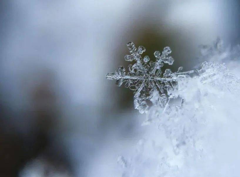 晨悟 | 突然而至的雪