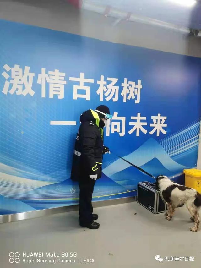 临河民警带着警犬赴“冬奥”，快来围观