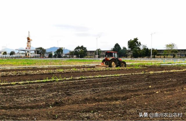 惠州惠阳：春耕未到 服务先行