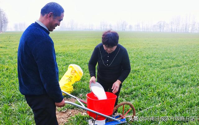 柘城县：小麦春管助丰收