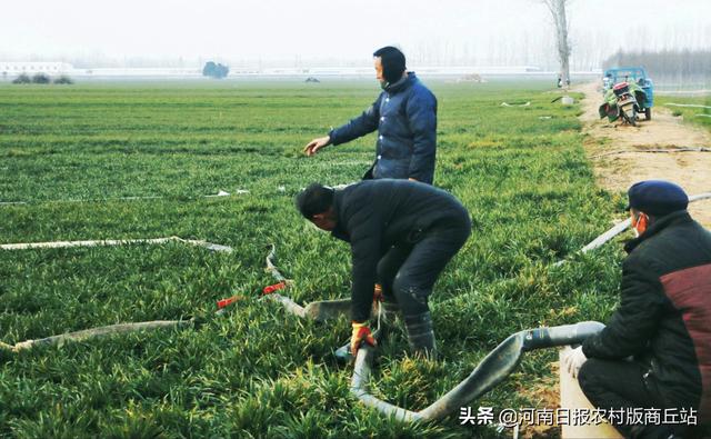 柘城县：小麦春管助丰收