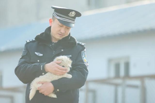 流浪犬的“蓝色港湾” ，很暖！