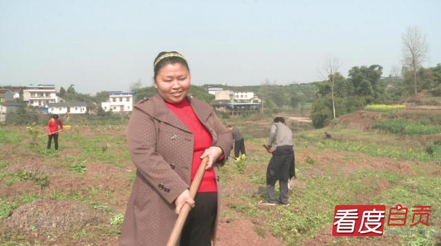 代寺镇：盘活农村闲置土地 激发乡村振兴新动能