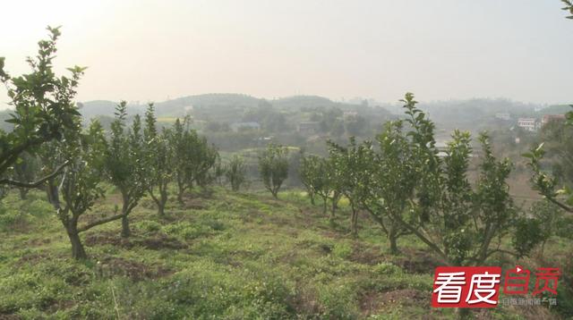 代寺镇：盘活农村闲置土地 激发乡村振兴新动能