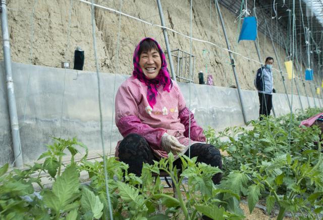 不孬啊，在这里干活——淄博市数字化农业农村建设带来的改变