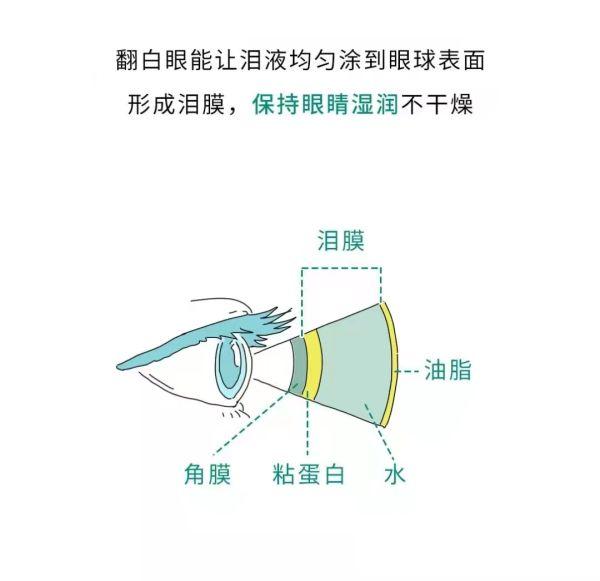 成天打游戏，不能收拾下你的“狗窝”吗？不能！