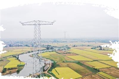 蒙东电力市场“乌龙”事件引深思