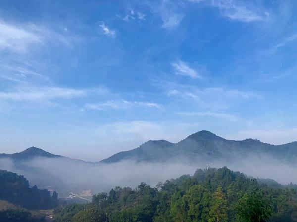 复绿矿山变“金山”