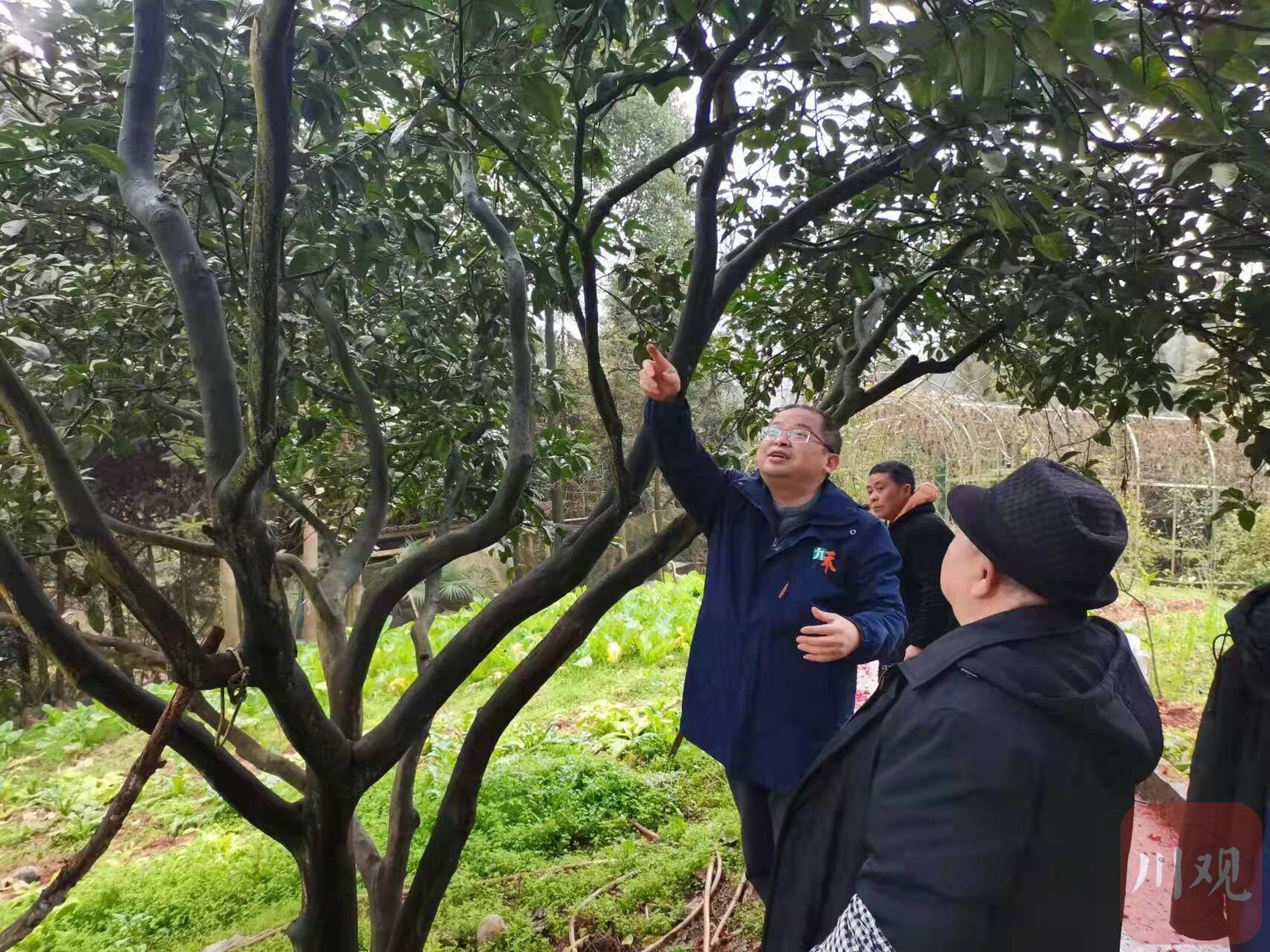 泸县：农资人员下田间 抢抓农时备春耕