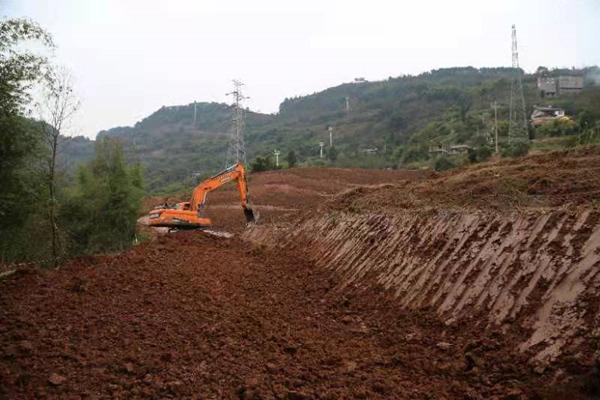 涪陵：葡萄飘香索道乐 农旅融合促振兴